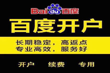 百度推广公司案例分享：效果显著的网络广告策略